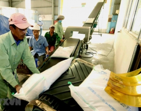 Xuất khẩu gạo Việt Nam trong tháng Bảy đạt trên 4 triệu tấn